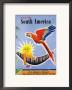 Fly To South America by Jean Dubois Limited Edition Print