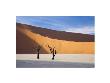 Deadvlei, Namibia by Andy Biggs Limited Edition Pricing Art Print