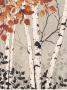 Birch Tapestry by Melissa Pluch Limited Edition Print