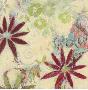 Floral Rhythm Ii by Claire Lerner Limited Edition Print
