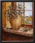 Olives In Tuscany by Nancy Wiseman Limited Edition Print