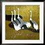 Cranes by Sakai Hoitsu Limited Edition Print