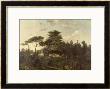 The Cedar Of Lebanon In The Jardin Des Plantes by Jean Pierre Louis L.. Houel Limited Edition Print