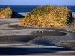 Sand Dune Flora At Farewell Spit On Golden Bay, Nelson, New Zealand by Paul Kennedy Limited Edition Print