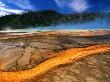 Grand Prismatic Spring In Midway Basin, Yellowstone National Park, Usa by John Elk Iii Limited Edition Print