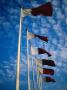 National Flags, Qatar by Chris Mellor Limited Edition Print