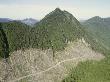 Aerial View Of A Swath Of Forest Cleared By Logging by Stephen Sharnoff Limited Edition Print