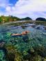 Snorkelling Over Reef,,Maldives by Michael Aw Limited Edition Pricing Art Print