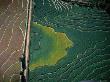 Aerial View Of Cultivated Fields, Parkin, Arizona, Usa by Jim Wark Limited Edition Print