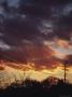 Sunset And Phone Line, Long Island, Ny by Ronald Lewis Limited Edition Print