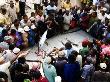 Fish Auction, Dar Es Salaam, Tanzania by Ariadne Van Zandbergen Limited Edition Print