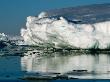 Icebergs, Antarctica, Antarctica by Chester Jonathan Limited Edition Print