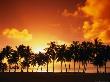 Sunset Over Palm Trees On West Coast, Cook Islands by Manfred Gottschalk Limited Edition Print