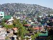 View Upon Residential Area Of Baguio City, Benguet, Luzon Island, Philippines by Noboru Komine Limited Edition Print