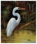 Tropical Egret I by Kilian Limited Edition Print