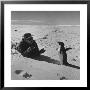 Ornithologist Photographing Native Penguin by Fritz Goro Limited Edition Print