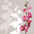 Silhouette Orchids Ii by Roxi Gray Limited Edition Print