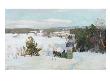 Winter Landscape, 1903 (Oil On Canvas) by Nils Hansteen Limited Edition Pricing Art Print