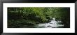 River Flowing In The Forest, Aberfeldy, Perthshire, Scotland by Panoramic Images Limited Edition Print