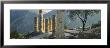 Ruined Columns, Temple Of Apollo, Delphi, Greece by Panoramic Images Limited Edition Pricing Art Print