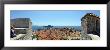 Island In The Sea, Adriatic Sea, Lokrum Island, Dubrovnik, Croatia by Panoramic Images Limited Edition Print