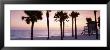 Palm Trees And A Lifeguard Hut On Lido Beach, Gulf Of Mexico, St Armands Key, Florida, Usa by Panoramic Images Limited Edition Pricing Art Print