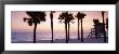 Palm Trees And A Lifeguard Hut On Lido Beach, Gulf Of Mexico, St Armands Key, Florida, Usa by Panoramic Images Limited Edition Print