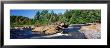 River Flowing Through The Forest, Moose River, Adirondack State Park, New York, Usa by Panoramic Images Limited Edition Print