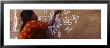 Girl Painting On A Wall, Thar Desert, Jaisalmer, Rajasthan, India by Panoramic Images Limited Edition Print