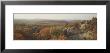Trees In A Forest, Shawnee Forest, Illinois, Usa by Panoramic Images Limited Edition Print