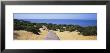 Boardwalk On The Beach, Cuesta De Maneli, Donana National Park, Huelva Province, Spain by Panoramic Images Limited Edition Pricing Art Print