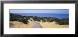 Boardwalk On The Beach, Cuesta De Maneli, Donana National Park, Huelva Province, Spain by Panoramic Images Limited Edition Print