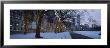 Trees Decorated With Christmas Lights, Illinois, Chicago, Usa by Panoramic Images Limited Edition Print
