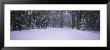 Snow Falling On The Road, Yosemite National Park, California, Usa by Panoramic Images Limited Edition Pricing Art Print