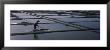 Man Working In Salt Marshes, Saone River, Guerande, Loire-Atlantique, France by Panoramic Images Limited Edition Print