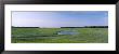 Salt Marshes, Atlantic Coast, Jacksonville, Florida, Usa by Panoramic Images Limited Edition Print