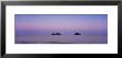 Islands At Dusk, Na Mokulua Islands, Oahu, Hawaii, Usa by Panoramic Images Limited Edition Print