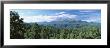Trees In Front Of Pikes Peak Mountain, Pikes Peak National Forest, Colorado, Usa by Panoramic Images Limited Edition Print