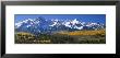 Mountains Covered In Snow, Sneffels Range, Colorado, Usa by Panoramic Images Limited Edition Pricing Art Print