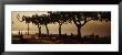 Benches In A Park, Torri Del Benaco, Lake Garda, Italy by Panoramic Images Limited Edition Print