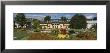 Formal Garden In Front Of A Castle, Pillnitz Castle, Dresden, Germany by Panoramic Images Limited Edition Print