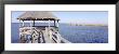 Gazebo And Saltwater Marsh, Nags Head, Dare County, North Carolina, Usa by Panoramic Images Limited Edition Pricing Art Print