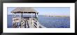 Gazebo And Saltwater Marsh, Nags Head, Dare County, North Carolina, Usa by Panoramic Images Limited Edition Print