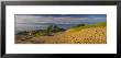 Footprints In The Sand, Sleeping Bear Dunes National Lakeshore, Michigan, Usa by Panoramic Images Limited Edition Print