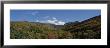White Mountain National Forest, New Hampshire, Usa by Panoramic Images Limited Edition Print