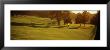 Golf Flag On Presidio Golf Course, San Francisco, California, Usa by Panoramic Images Limited Edition Print