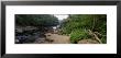 Stream Of Water Flowing Through A Forest, Swallow Falls State Park, Maryland, Usa by Panoramic Images Limited Edition Print