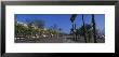 Trees On The Street, Barcelona, Catalonia, Spain by Panoramic Images Limited Edition Print