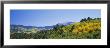 Mt. Lindsay, Huerfano River Basin, Sangre De Cristo Mountains, Aspen, Colorado, Usa by Panoramic Images Limited Edition Print