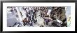 Baggage Claim, Arlanda Airport, Stockholm, Sweden by Panoramic Images Limited Edition Pricing Art Print